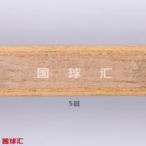 /images/201204/goods_img/2076_P_1335240871264.jpg