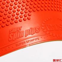 /images/201204/goods_img/972_P_1333936252353.jpg